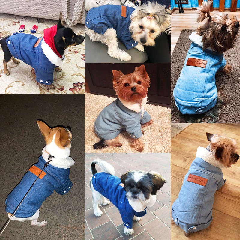 Dog Denim Jacket Winter Outerwear Dog Denim Jacket Winter Outerwear