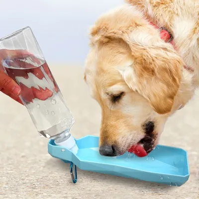 Dog Drinking Bottle Pet Water Dispenser Dog Drinking Bottle Pet Water Dispenser