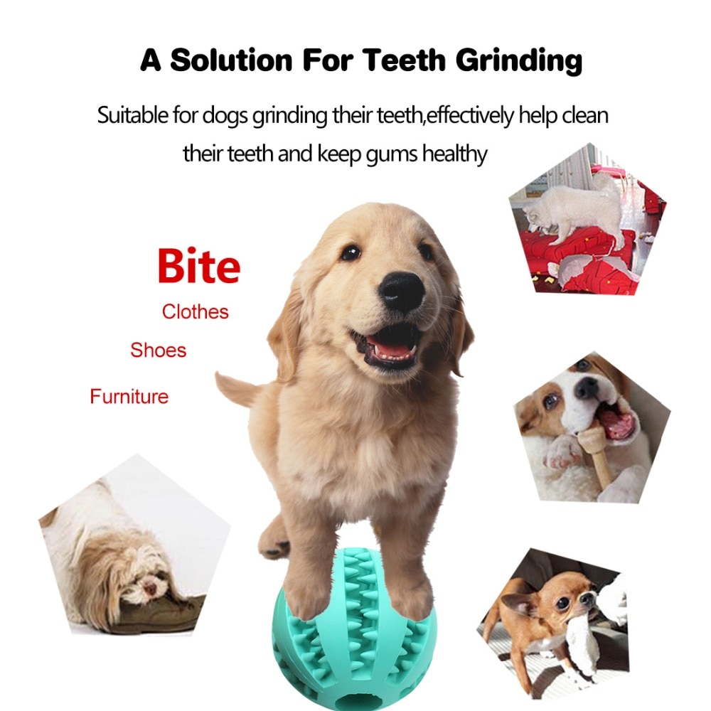 Dog Feeder Interactive Ball