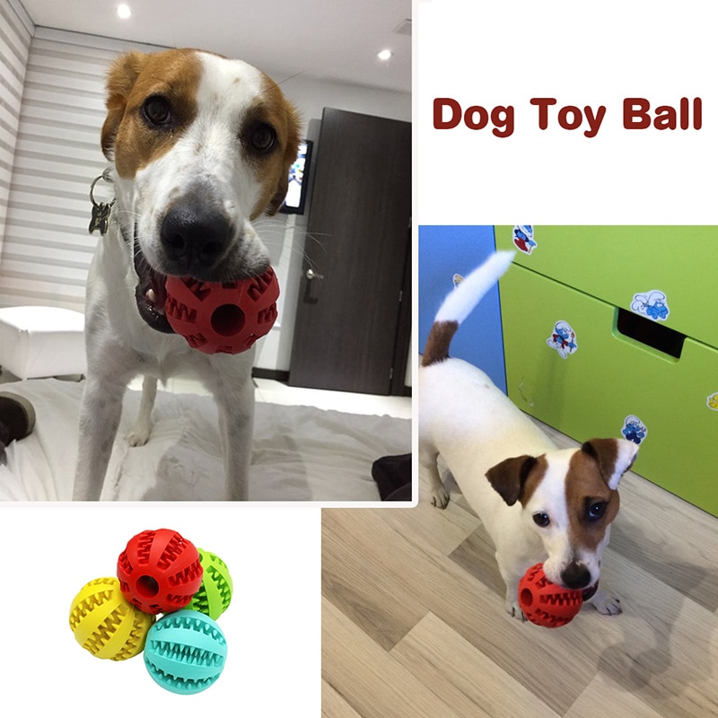 Dog Feeder Interactive Ball