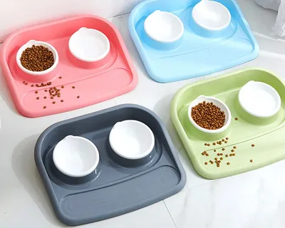 Dog Feeding Station Pet Food Bowl