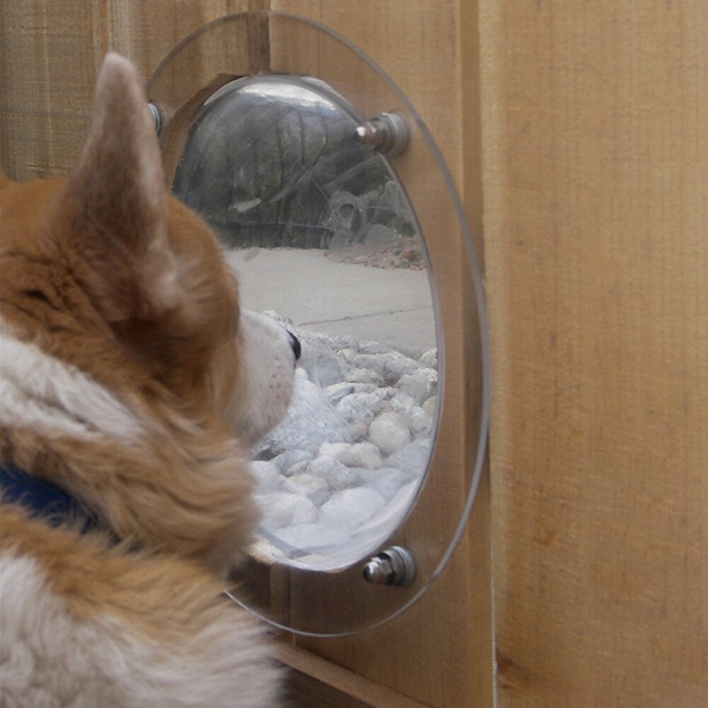 Dog Fence Bubble with Screws Dog Fence Bubble with Screws