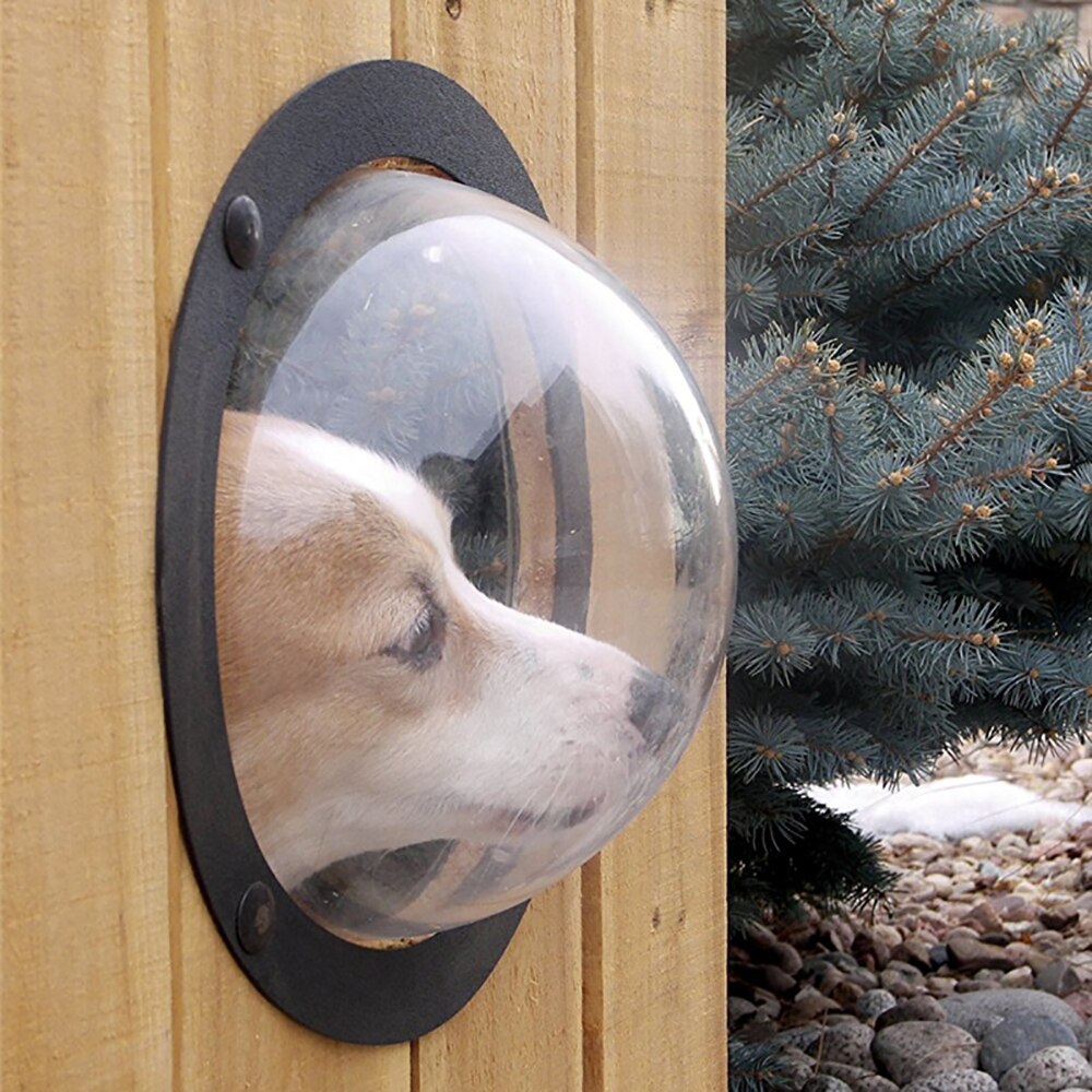 Dog Fence Bubble with Screws