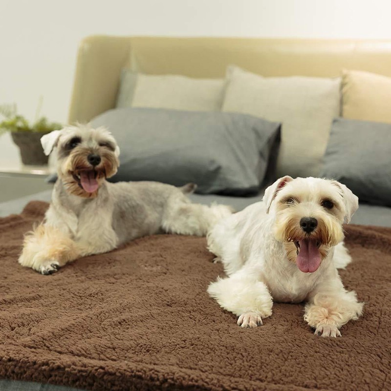 Dog Fleece Blanket Pet Comforter Dog Fleece Blanket Pet Comforter
