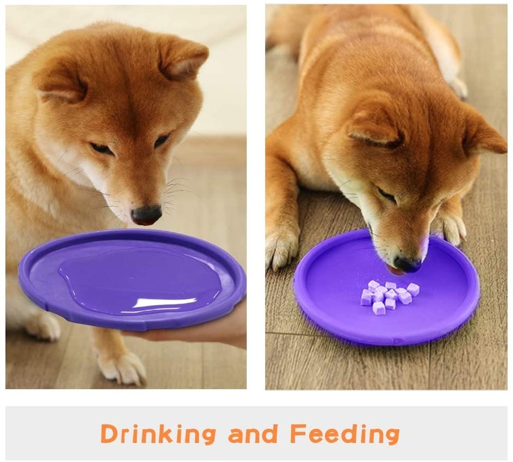 Dog Flying Disc Pet Interactive Toy Dog Flying Disc Pet Interactive Toy