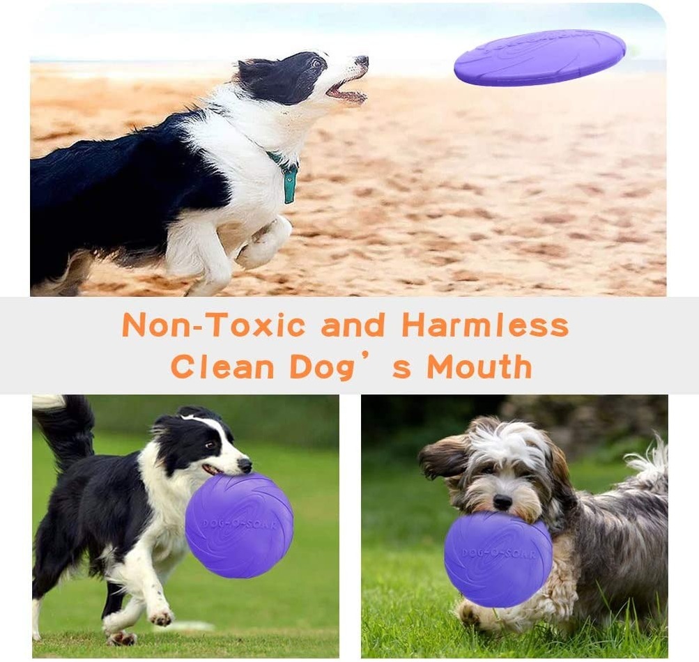 Dog Flying Disc Pet Interactive Toy Dog Flying Disc Pet Interactive Toy