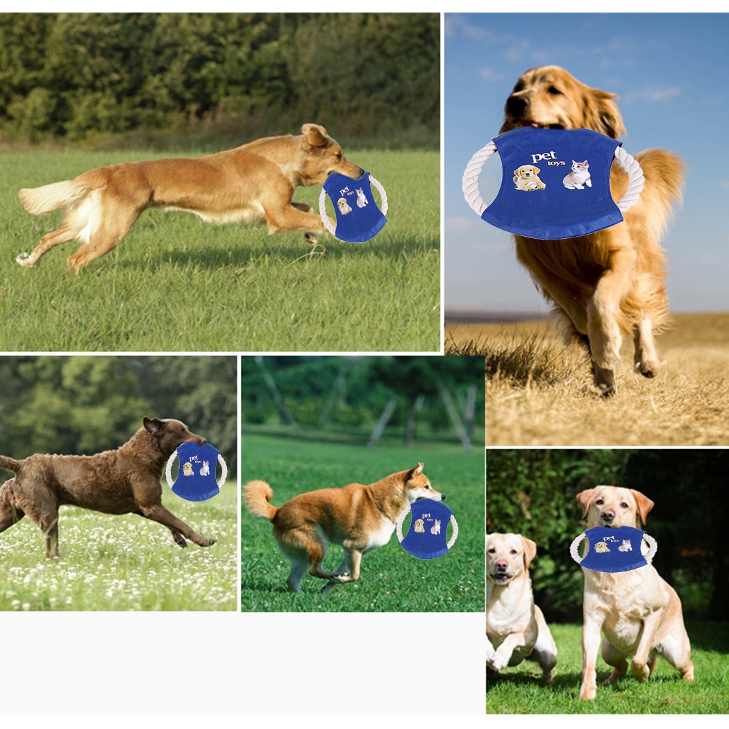 Dog Frisbee Pet Chew Toy Dog Frisbee Pet Chew Toy