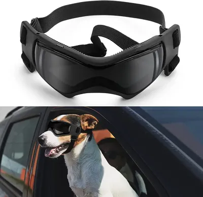 Dog Glasses UV Protection Snow Protection Wind Protection Dust Protection with Adjustable Strap Dog Glasses UV Protection Snow Protection Wind Protection Dust Protection with Adjustable Strap