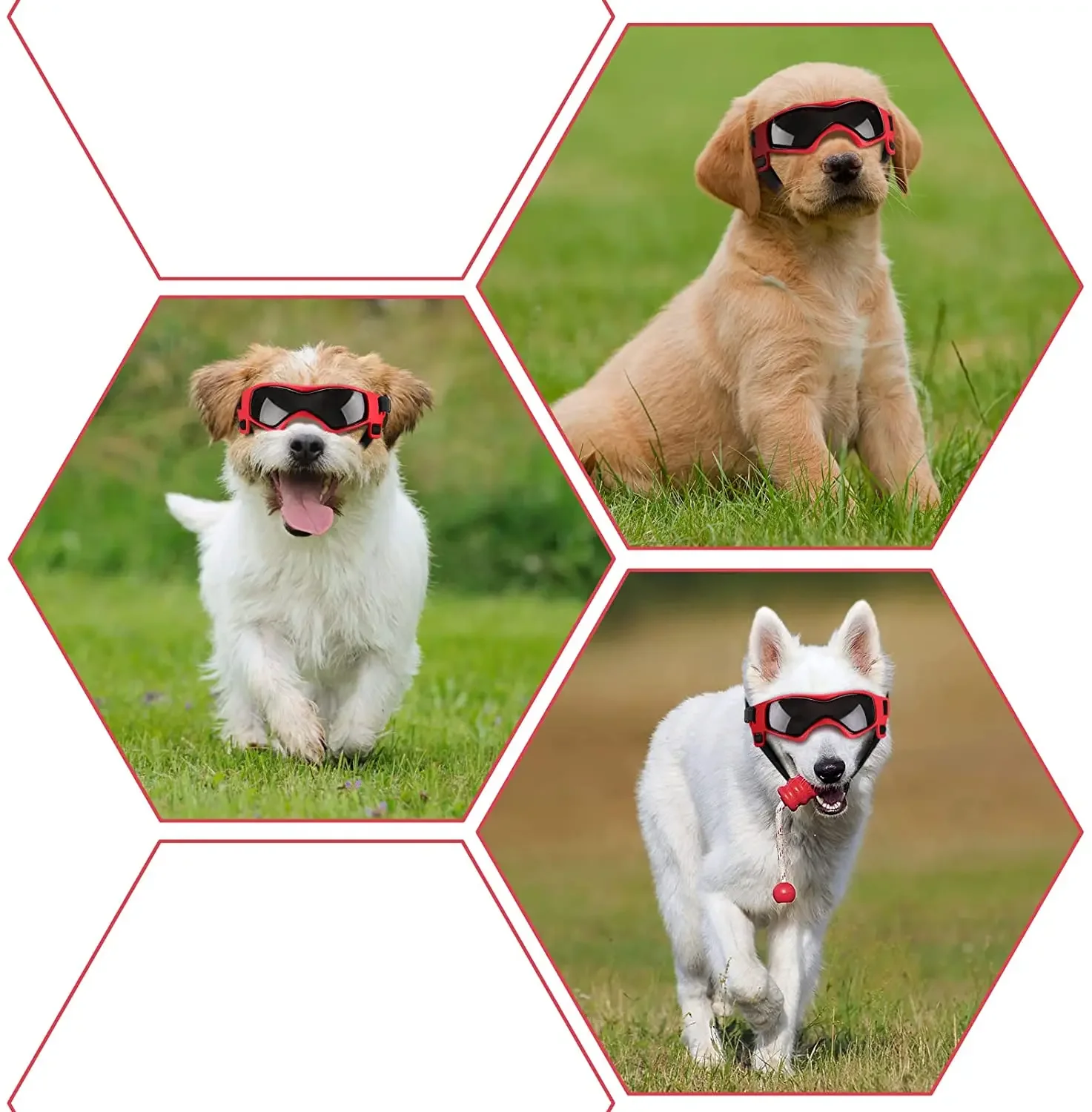 Dog Glasses UV Protection Snow Protection Wind Protection Dust Protection with Adjustable Strap Dog Glasses UV Protection Snow Protection Wind Protection Dust Protection with Adjustable Strap