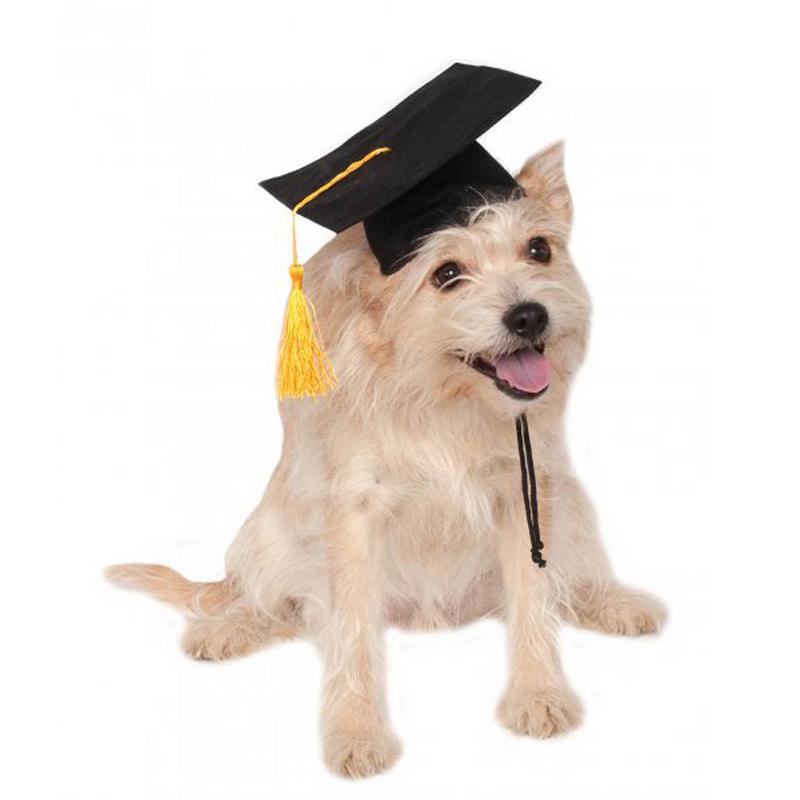 Dog Graduation Cap Pet Costume Dog Graduation Cap Pet Costume