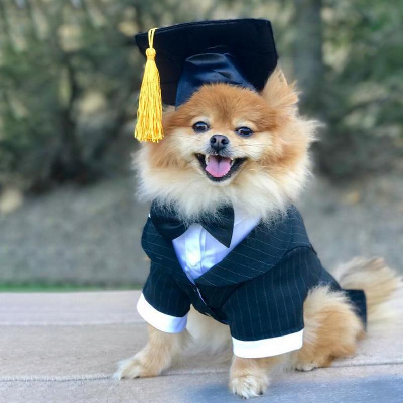 Dog Graduation Cap Pet Costume Dog Graduation Cap Pet Costume