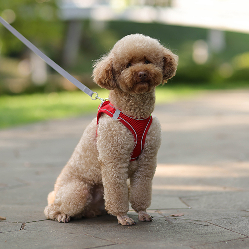 Dog Harness Leash Set for Small Dogs Adjustable Puppy Cat Harness Vest French Bulldog Chihuahua Pug Outdoor Walking