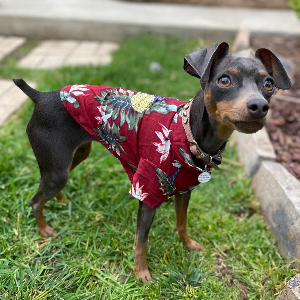 Dog Hawaiian Shirt Summer Pet Clothes Dog Hawaiian Shirt Summer Pet Clothes
