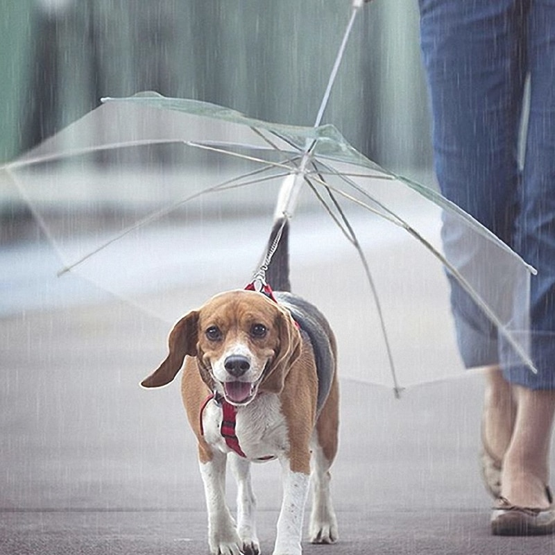 Dog Leash Umbrella Built-In Leash Dog Leash Umbrella Built-In Leash