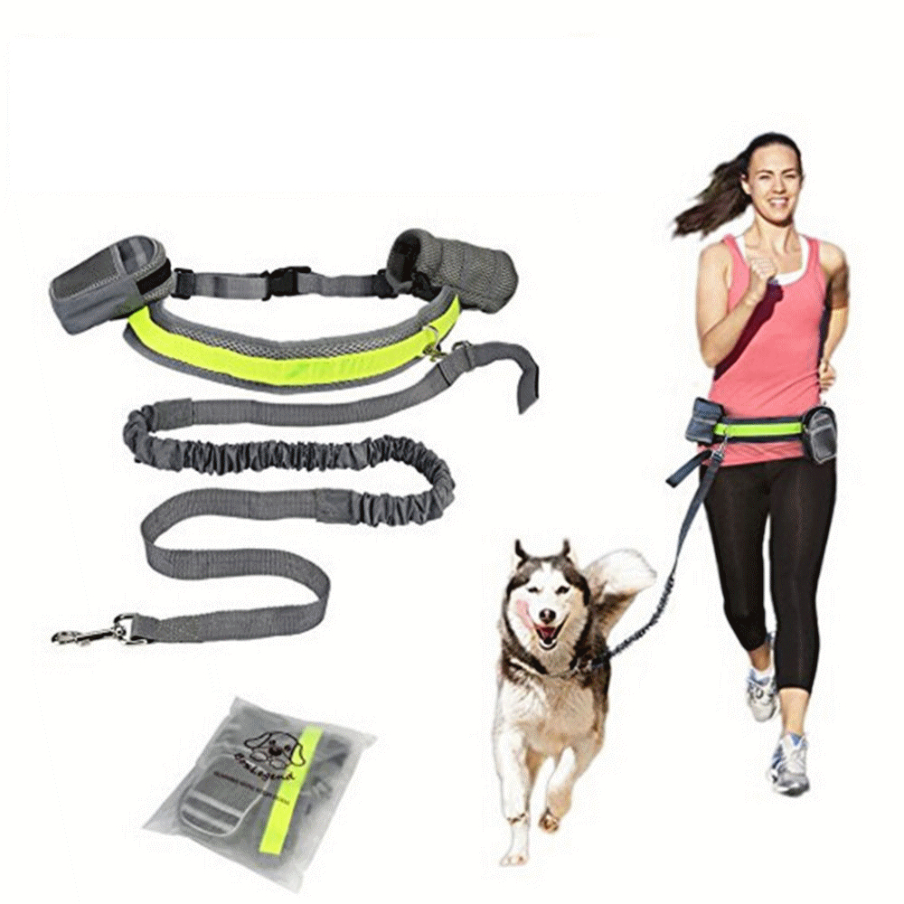Dog Leash Waist Reflective Belt Dog Leash Waist Reflective Belt