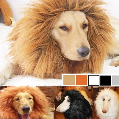 Dog Lion Costume Pet Accessory