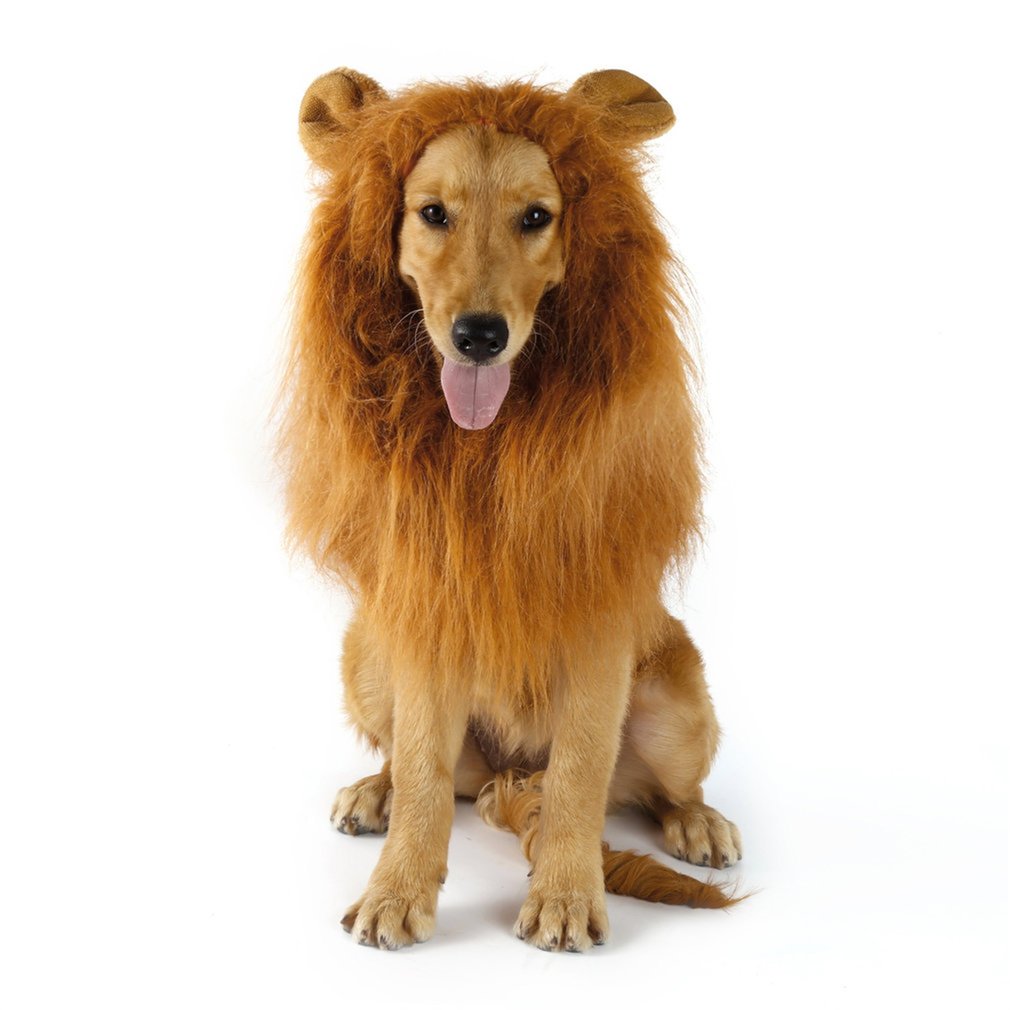 Dog Lion Mane Pet Wig Headwear Dog Lion Mane Pet Wig Headwear