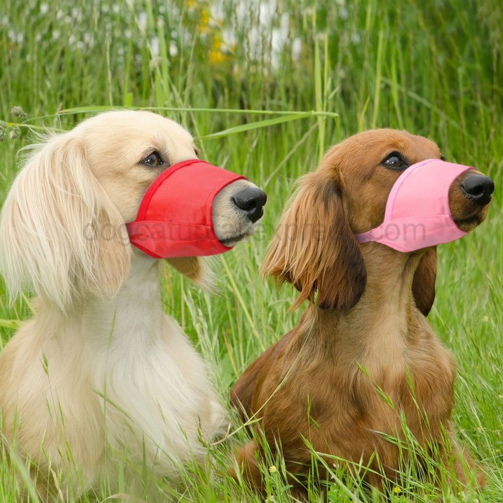 Dog Muzzle Anti Bark Dog Muzzle Anti Bark
