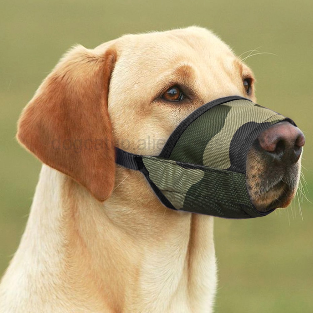 Dog Muzzle Anti Bark Dog Muzzle Anti Bark