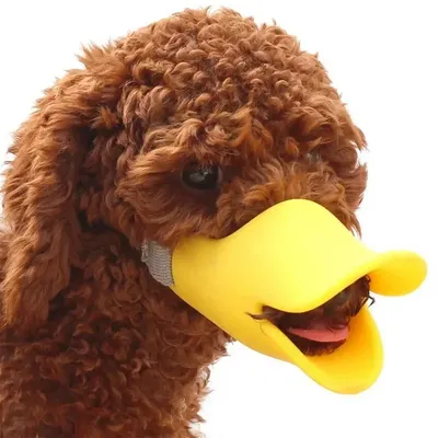 Dog Muzzle Silicone Duck Muzzle Mask for Pet Dogs Anti Bite Stop Barking Small Large Dog Mouth Muzzle Pet Dog