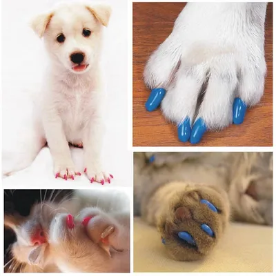 Dog Nail Caps 20PCS Soft Rubber Covers Dog Nail Caps 20PCS Soft Rubber Covers
