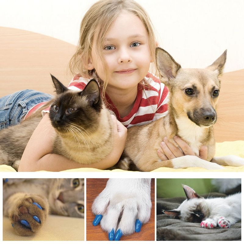 Dog Nail Caps 20PCS Soft Rubber Covers Dog Nail Caps 20PCS Soft Rubber Covers