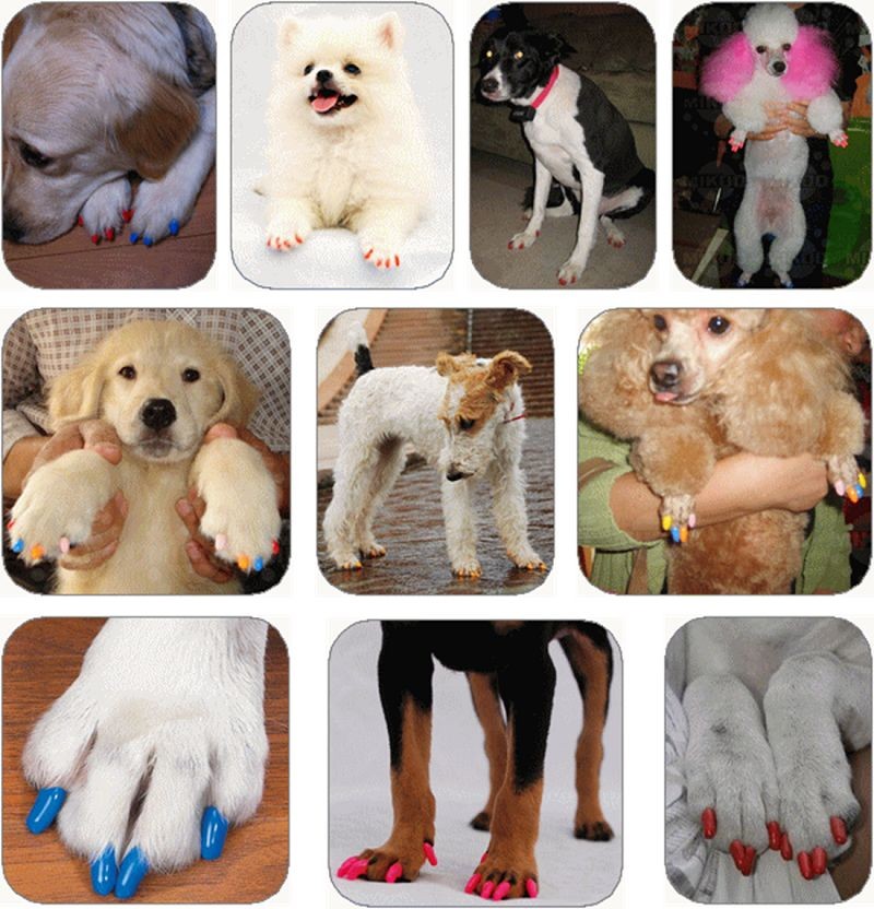 Dog Nail Caps 20PCS Soft Rubber Covers Dog Nail Caps 20PCS Soft Rubber Covers