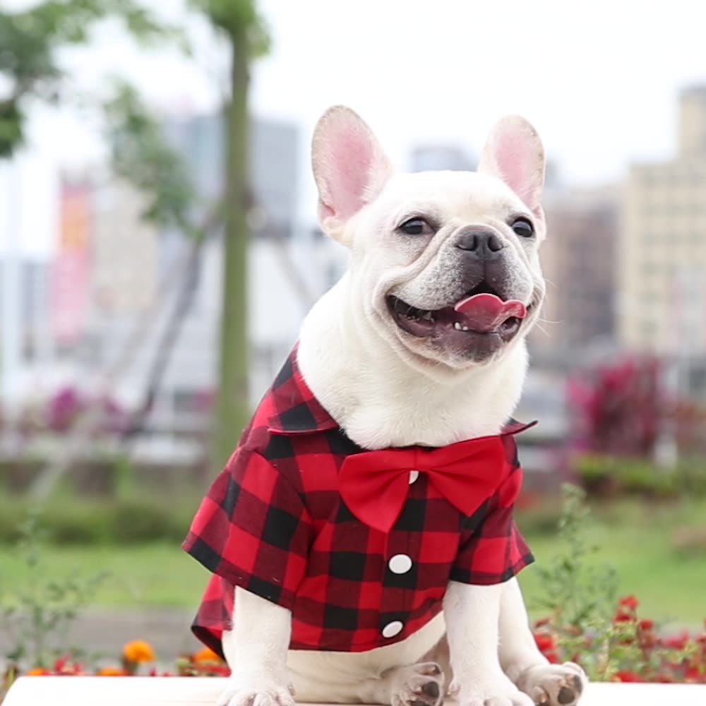 Dog Plaid Shirt with Cute Bow Tie