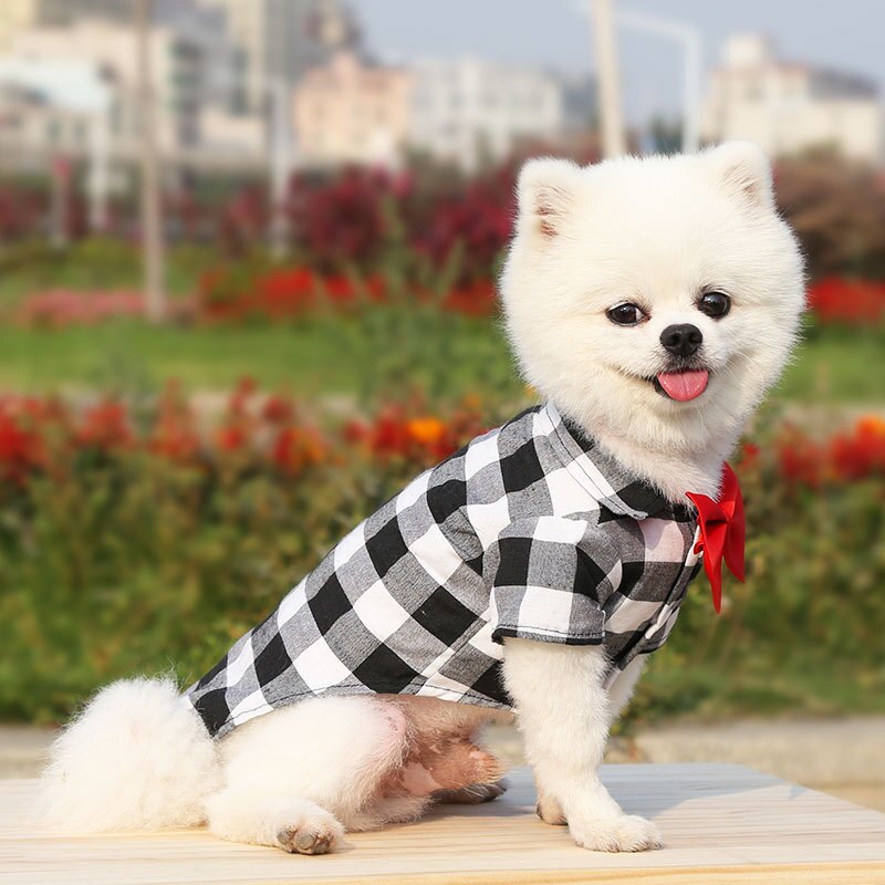 Dog Plaid Shirt with Cute Bow Tie