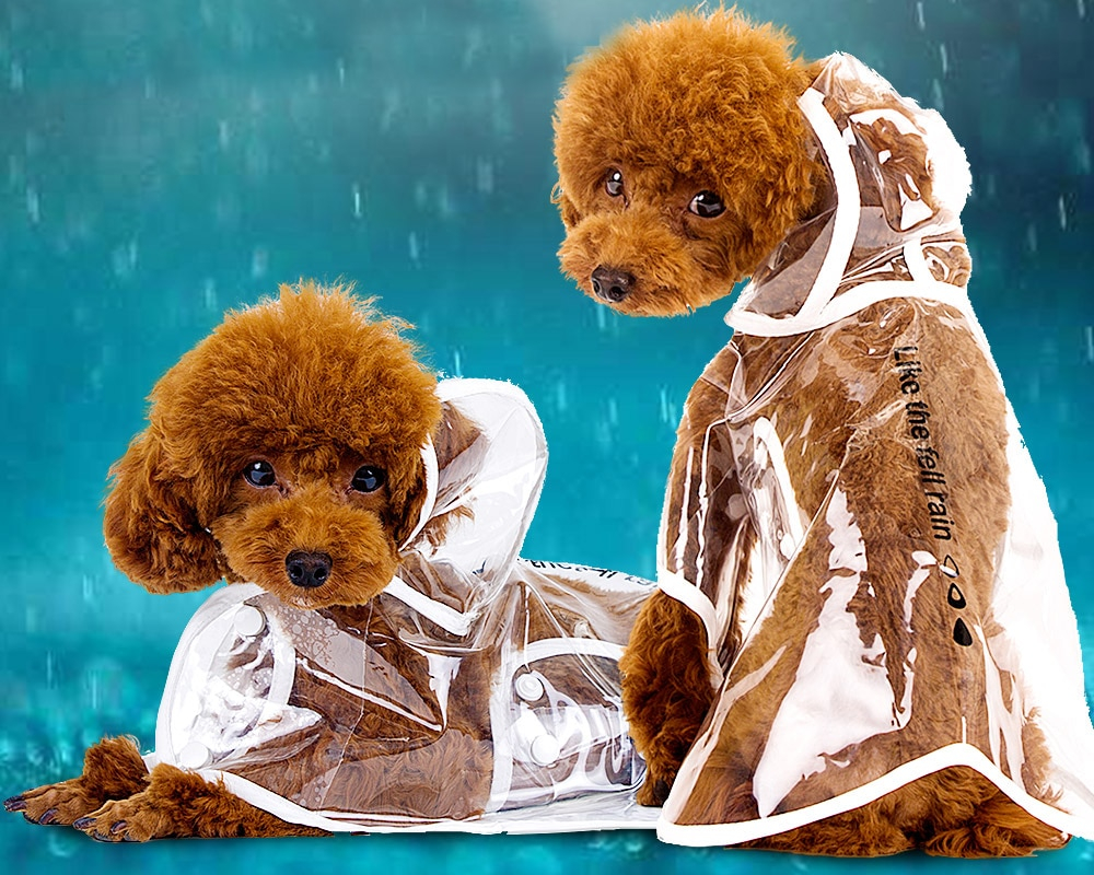 Dog Raincoat Light Rain Guard Dog Raincoat Light Rain Guard