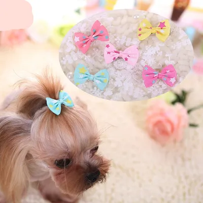 Dog Ribbon Grooming Accessory Dog Ribbon Grooming Accessory
