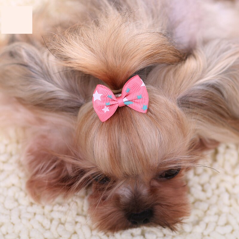 Dog Ribbon Grooming Accessory Dog Ribbon Grooming Accessory