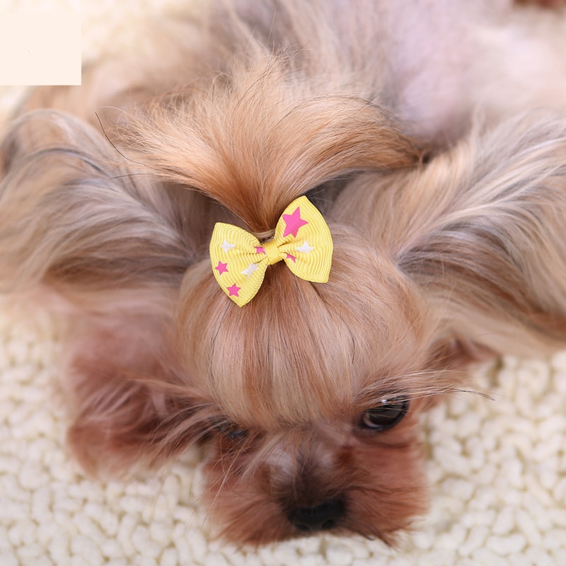 Dog Ribbon Grooming Accessory Dog Ribbon Grooming Accessory