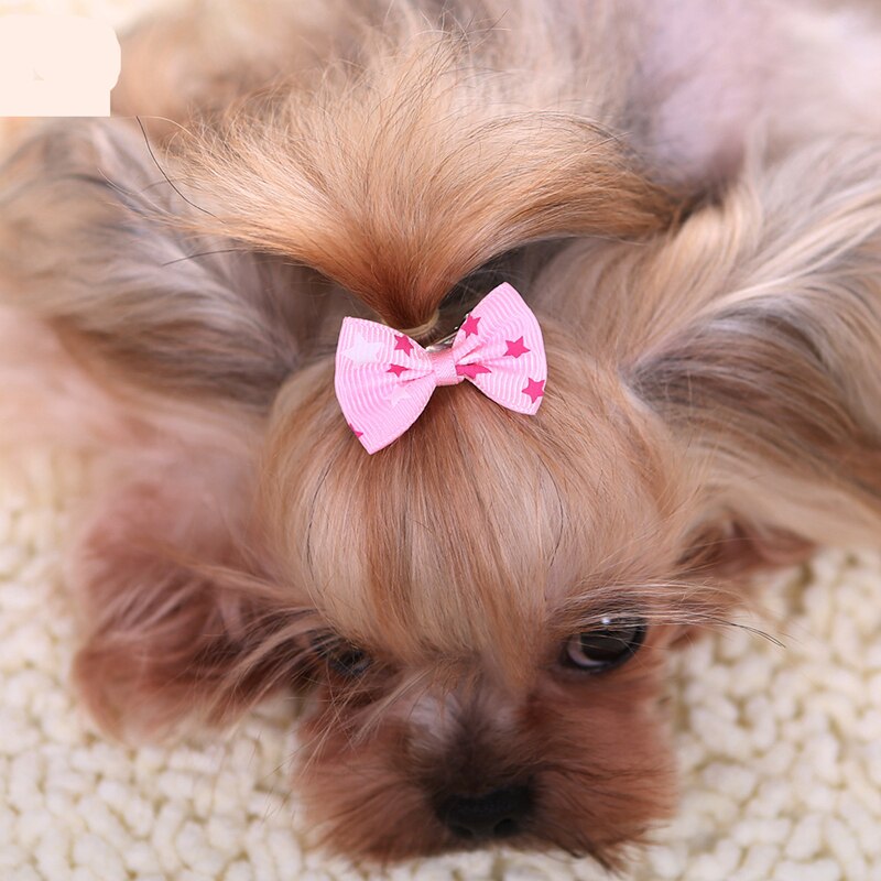 Dog Ribbon Grooming Accessory Dog Ribbon Grooming Accessory