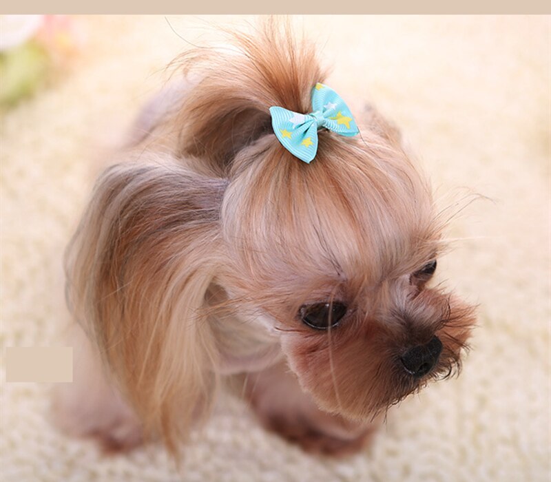 Dog Ribbon Grooming Accessory Dog Ribbon Grooming Accessory