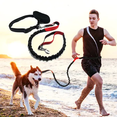 Dog Running Leash Elastic Rope Dog Running Leash Elastic Rope