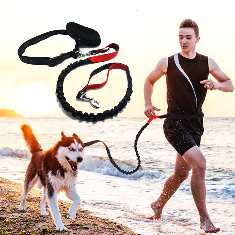 Dog Running Leash Elastic Rope Dog Running Leash Elastic Rope
