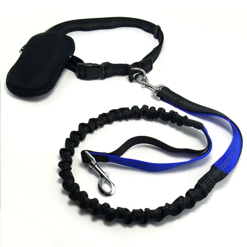 Dog Running Leash Elastic Rope Dog Running Leash Elastic Rope