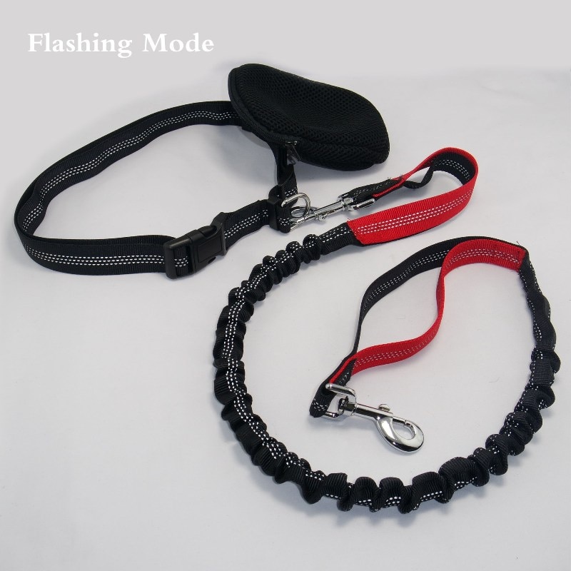 Dog Running Leash Elastic Rope Dog Running Leash Elastic Rope