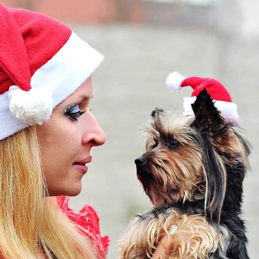 Dog Santa Hat Christmas Pet Head Wear Dog Santa Hat Christmas Pet Head Wear