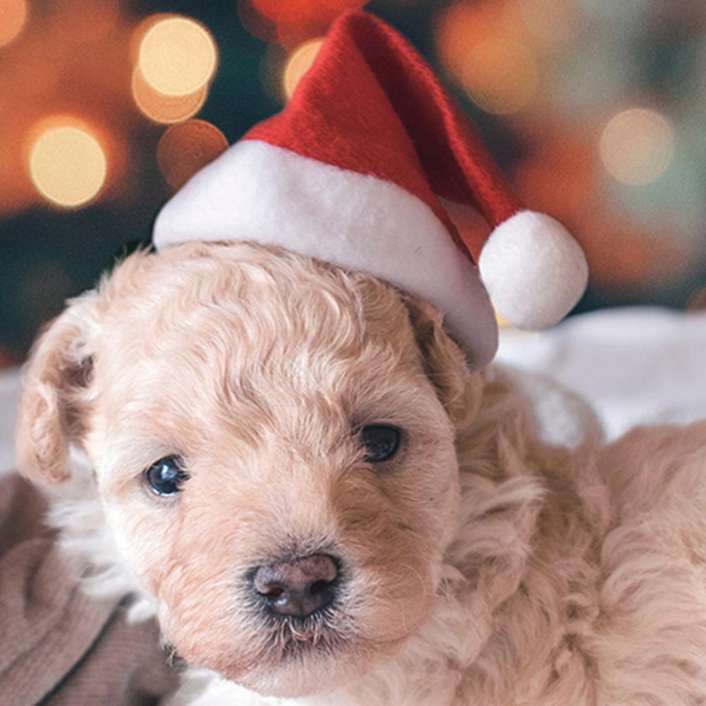 Dog Santa Hat Christmas Pet Head Wear Dog Santa Hat Christmas Pet Head Wear