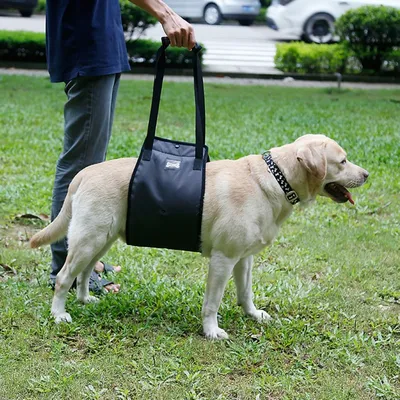 Dog Sling for Back Legs Lifting Harness Dog Sling for Back Legs Lifting Harness