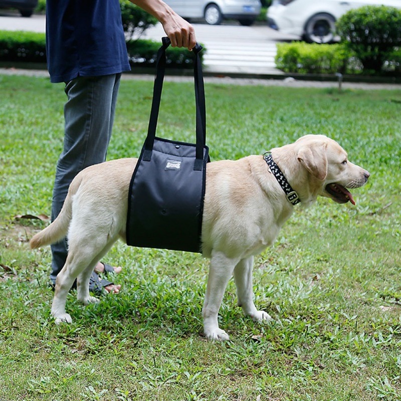 Dog Sling for Back Legs Lifting Harness