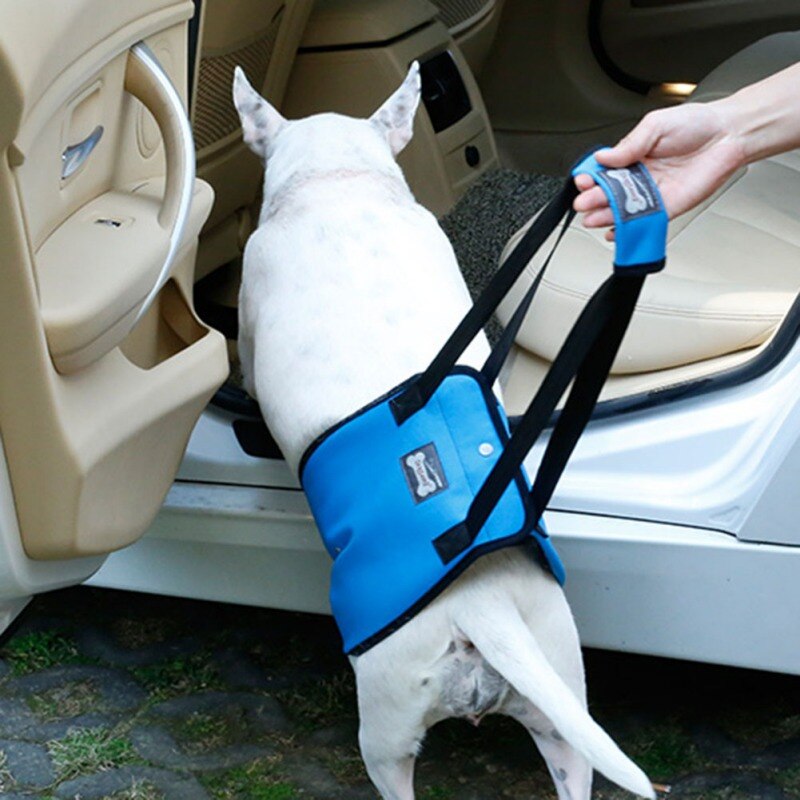 Dog Sling for Back Legs Lifting Harness Dog Sling for Back Legs Lifting Harness