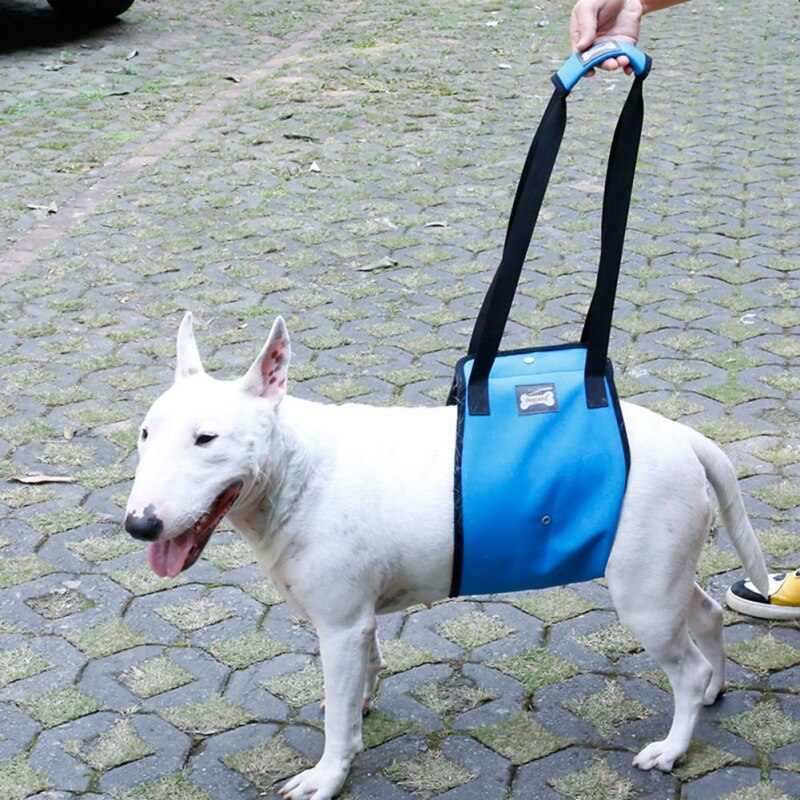 Dog Sling for Back Legs Lifting Harness Dog Sling for Back Legs Lifting Harness