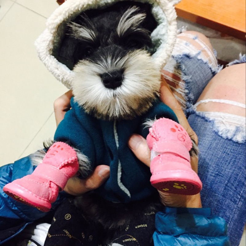 Dog Snow Boots Pet Winter Shoes Dog Snow Boots Pet Winter Shoes