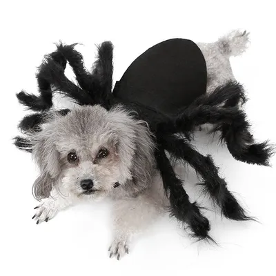 Dog Spider Costume Pet Accessory Dog Spider Costume Pet Accessory