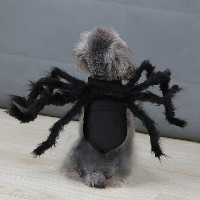 Dog Spider Costume Pet Accessory Dog Spider Costume Pet Accessory