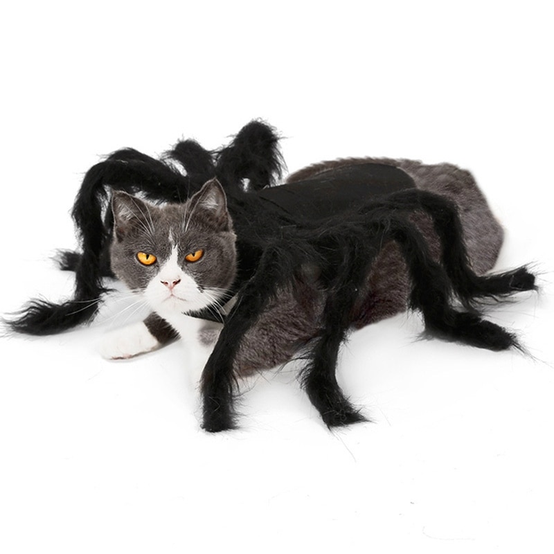 Dog Spider Costume Pet Accessory Dog Spider Costume Pet Accessory