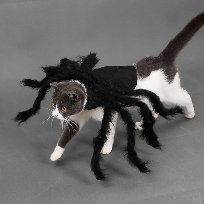 Dog Spider Costume Pet Accessory Dog Spider Costume Pet Accessory